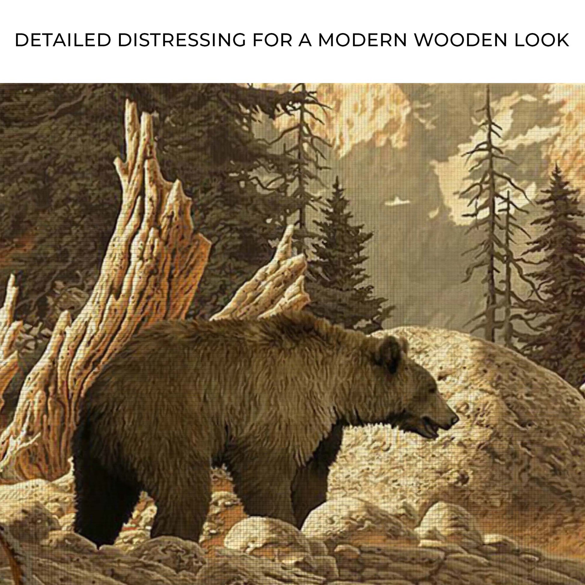 Animals Forest Bear Grizzly Canvas Wall Art II Zoom - Image by Tailored Canvases