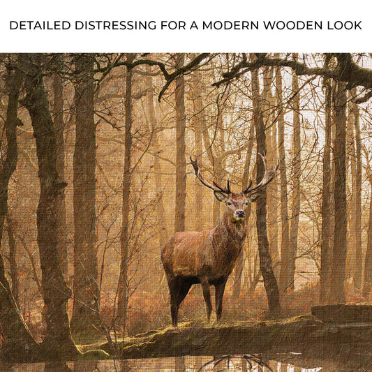Lone Deer In A Misty Forest Canvas Wall Art Zoom - Image by Tailored Canvases