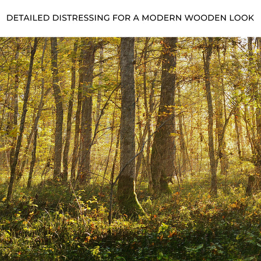Silent Forest Trees Canvas Wall Art Zoom - Image by Tailored Canvases