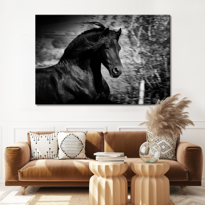 Running Black Horse - Image by Tailored Canvases