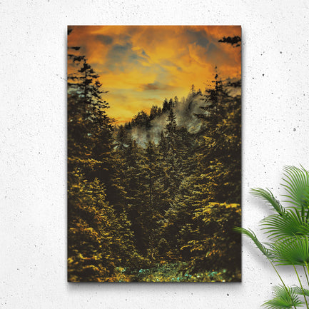 Into The Pine Trees Canvas Wall Art - Image by Tailored Canvases