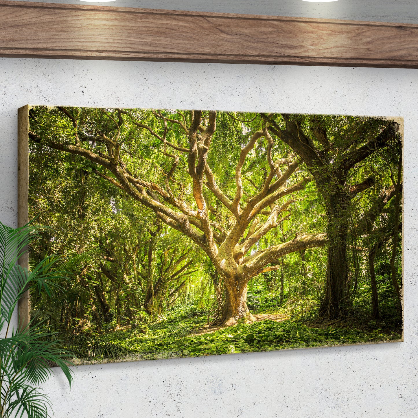 Old Oak Forest Tree Canvas Wall Art Style 1 - Image by Tailored Canvases