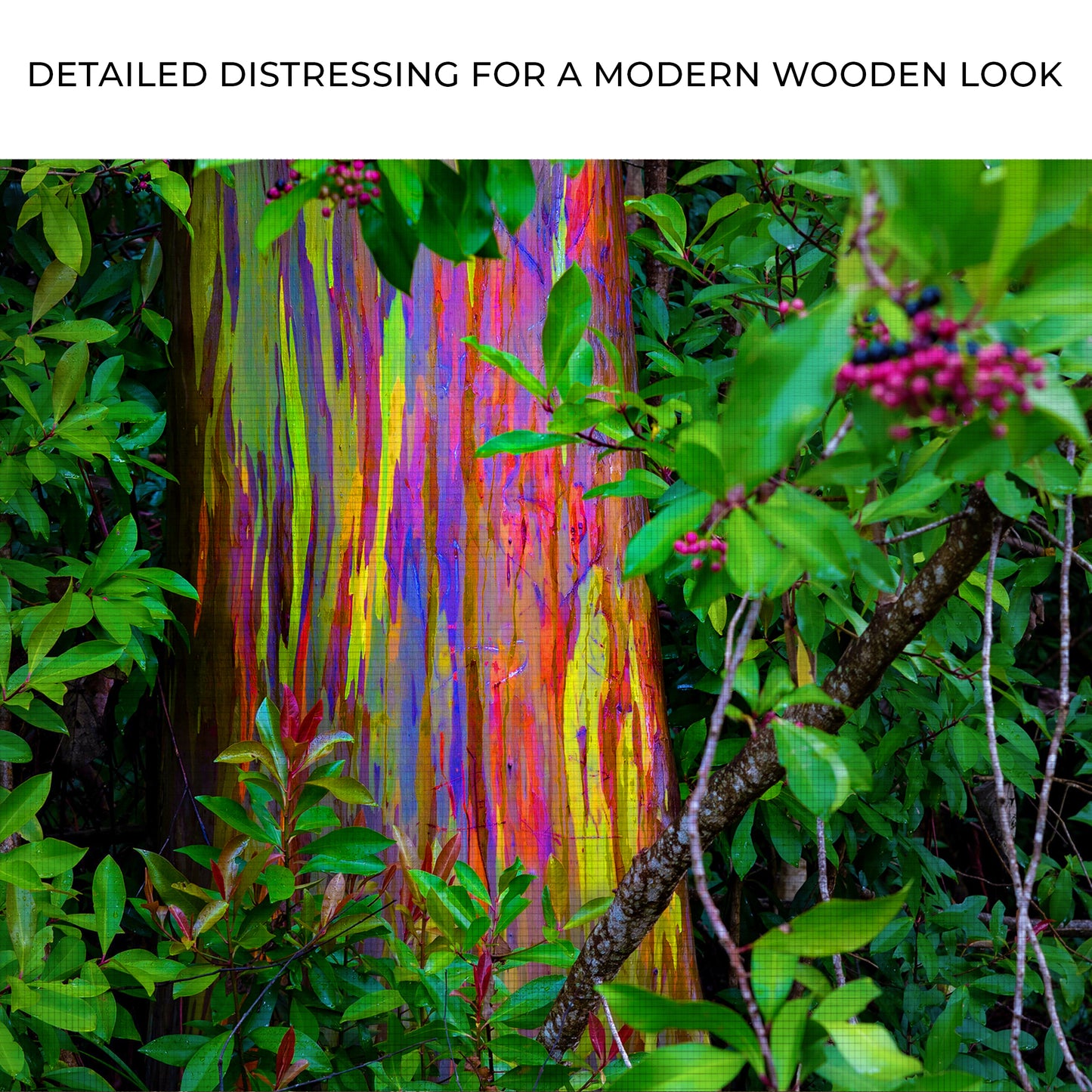 Rainbow Eucalyptus Tree Canvas Wall Art II Zoom - Image by Tailored Canvases