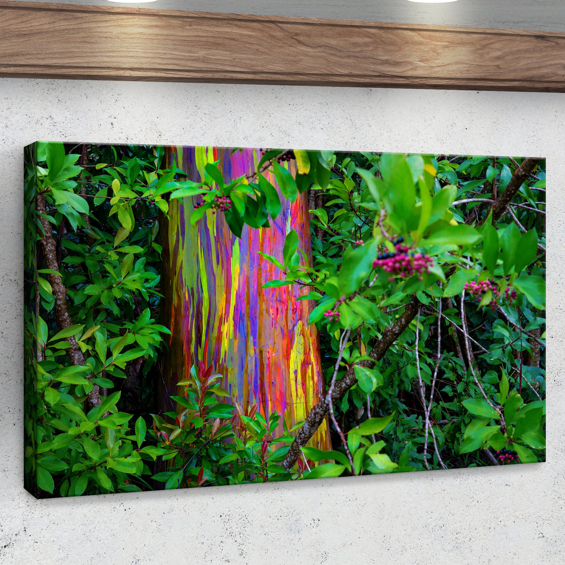 Rainbow Eucalyptus Tree Canvas Wall Art II Style 1 - Image by Tailored Canvases