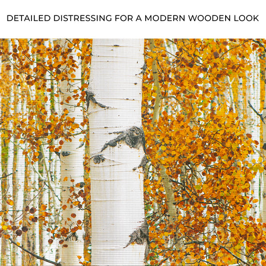 Autumn Tree Barks Canvas Wall Art Zoom - Image by Tailored Canvases