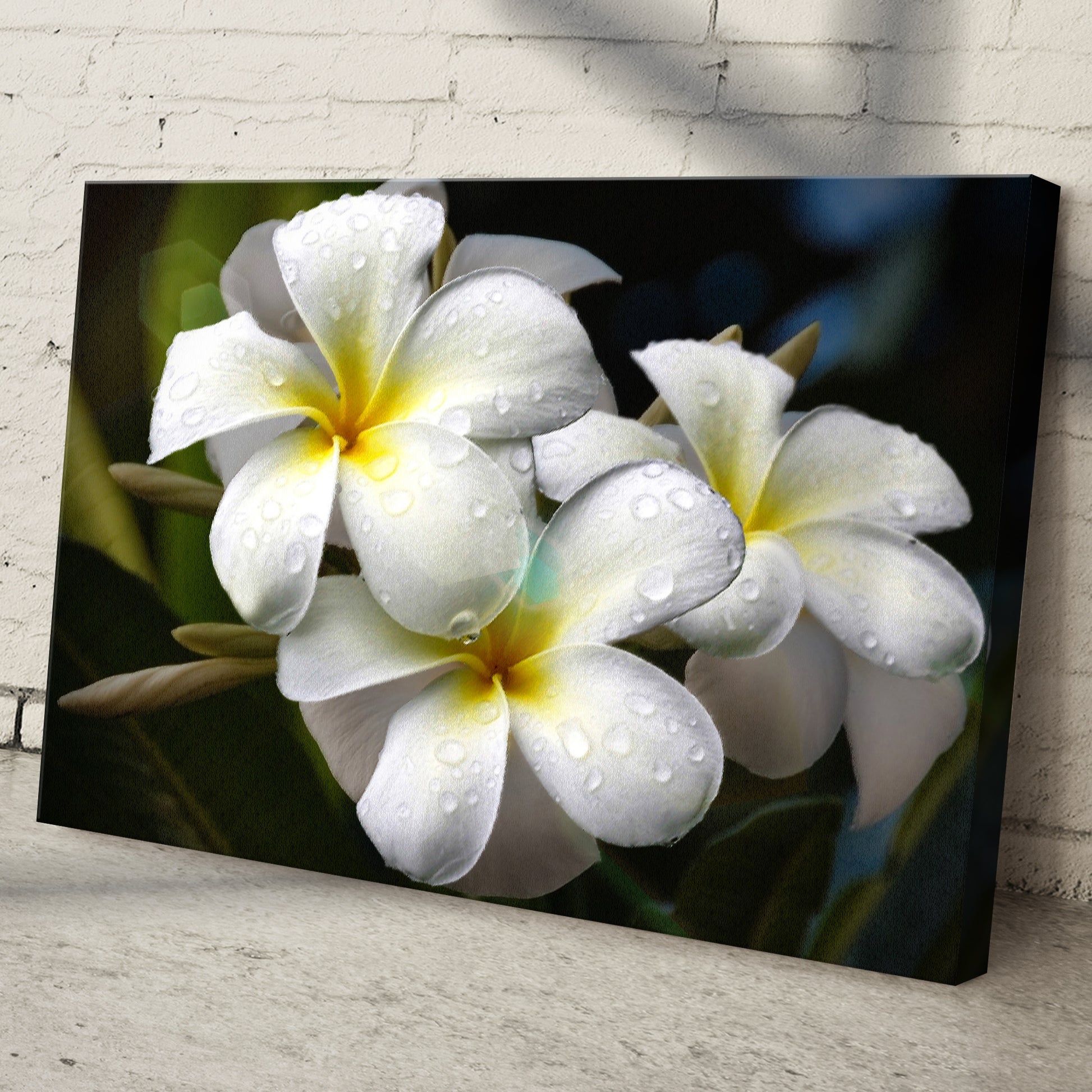 White Frangipani Flower Canvas Wall Art Style 2 - Image by Tailored Canvases