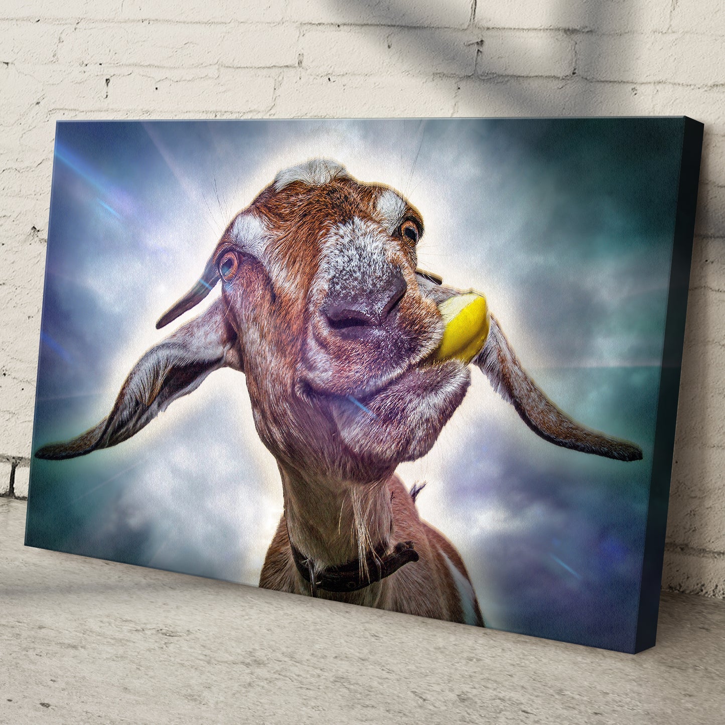 Wacky Nubian Goat Canvas Wall Art Style 1 - Image by Tailored Canvases