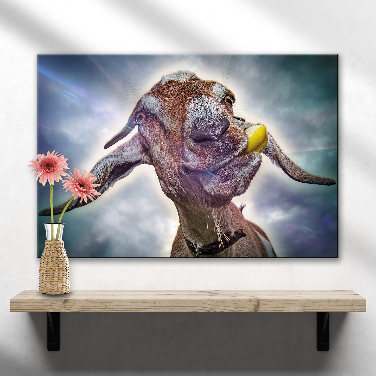 Wacky Nubian Goat Canvas Wall Art  - Image by Tailored Canvases