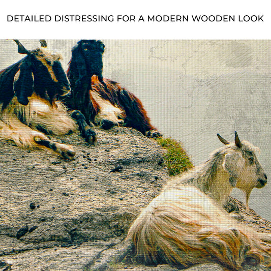 Pashmina Goats On Rocky Mountain Canvas Wall Art Zoom - Image by Tailored Canvases
