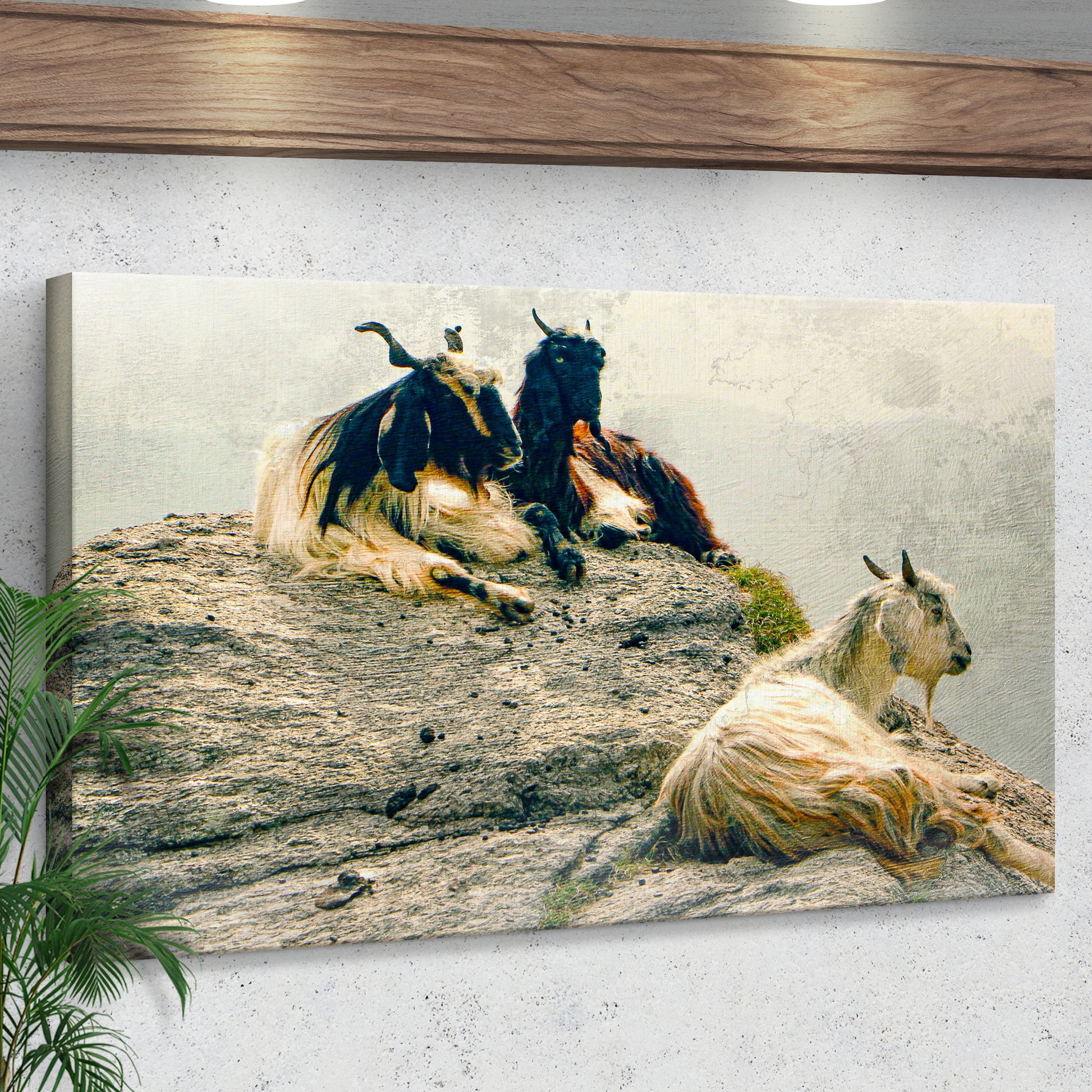 Pashmina Goats On Rocky Mountain Canvas Wall Art Style 1 - Image by Tailored Canvases