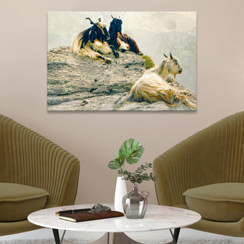 Pashmina Goats On Rocky Mountain Canvas Wall Art