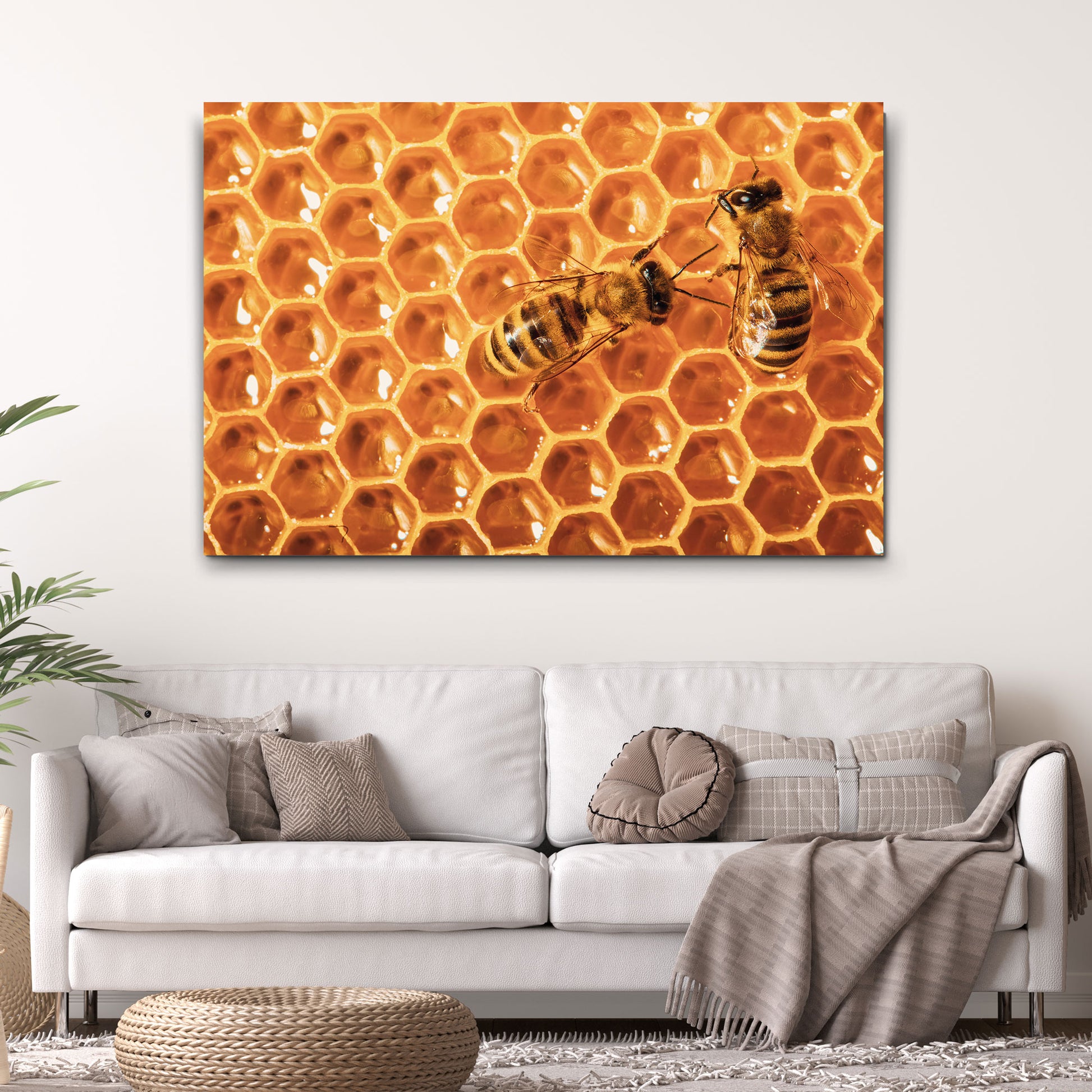 Bees Honeycomb Canvas Wall Art Style 2 - Image by Tailored Canvases