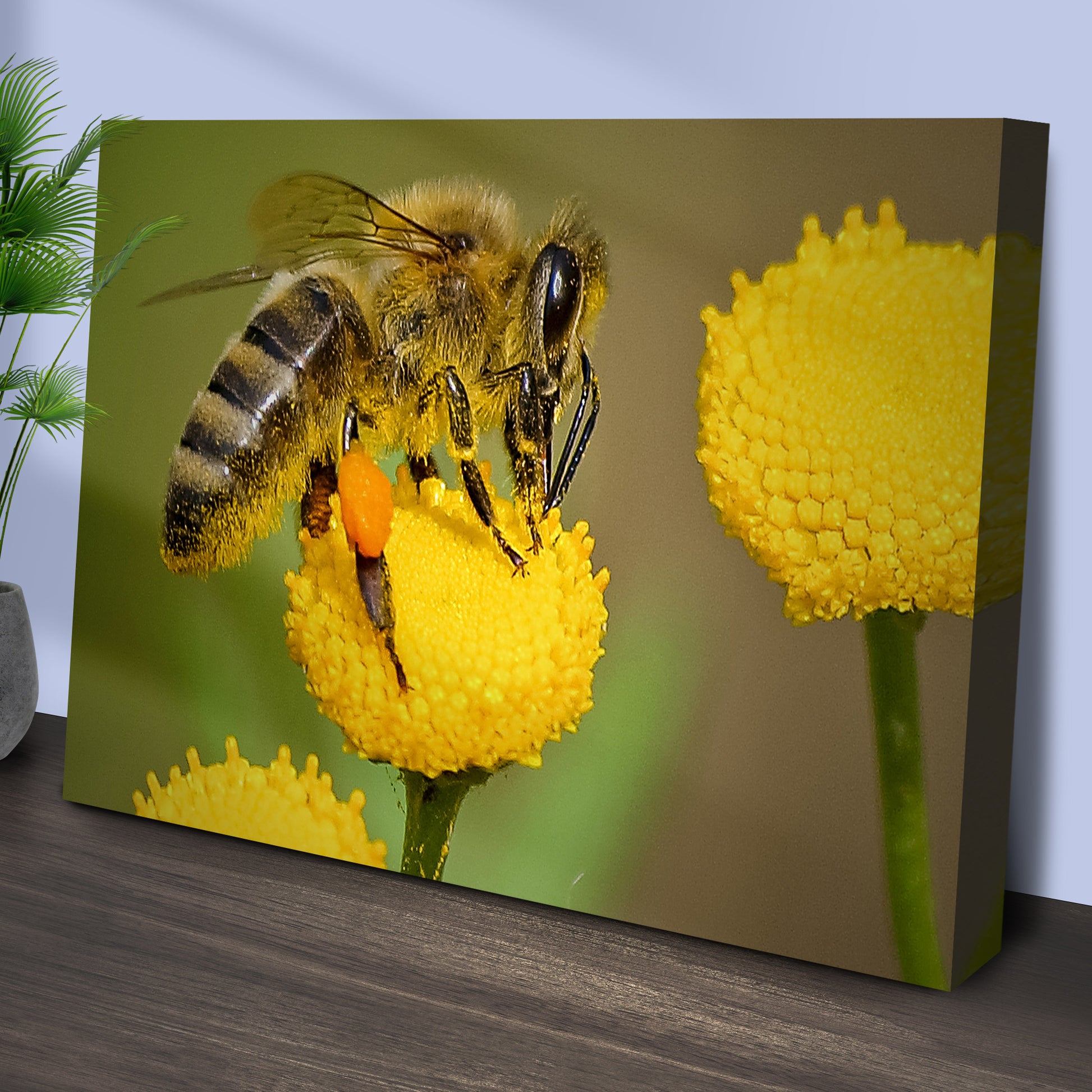 Working Honey Bee Canvas Wall Art Style 1 - Image by Tailored Canvases