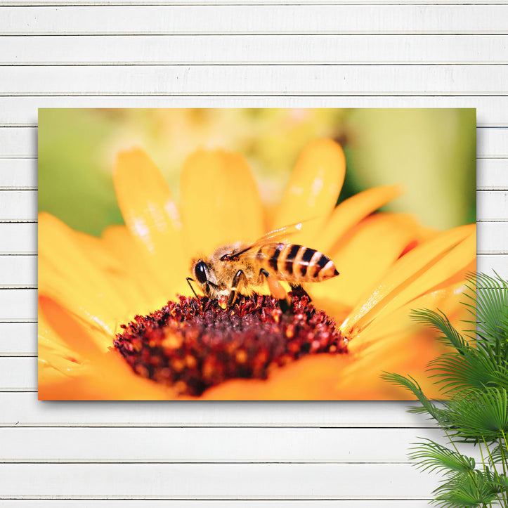 products/ART-1931---Bee-On-Sunflower-16x24-mockup3.jpg