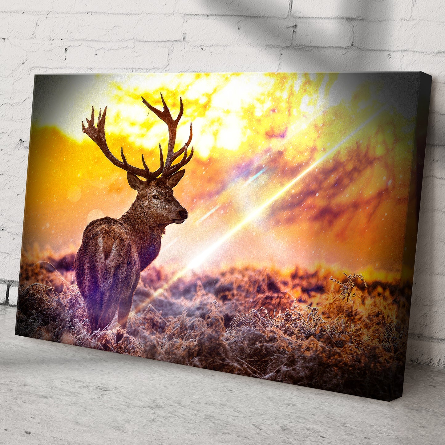 Deer Elk In Sunset Forest Canvas Wall Art Style 2 - Image by Tailored Canvases