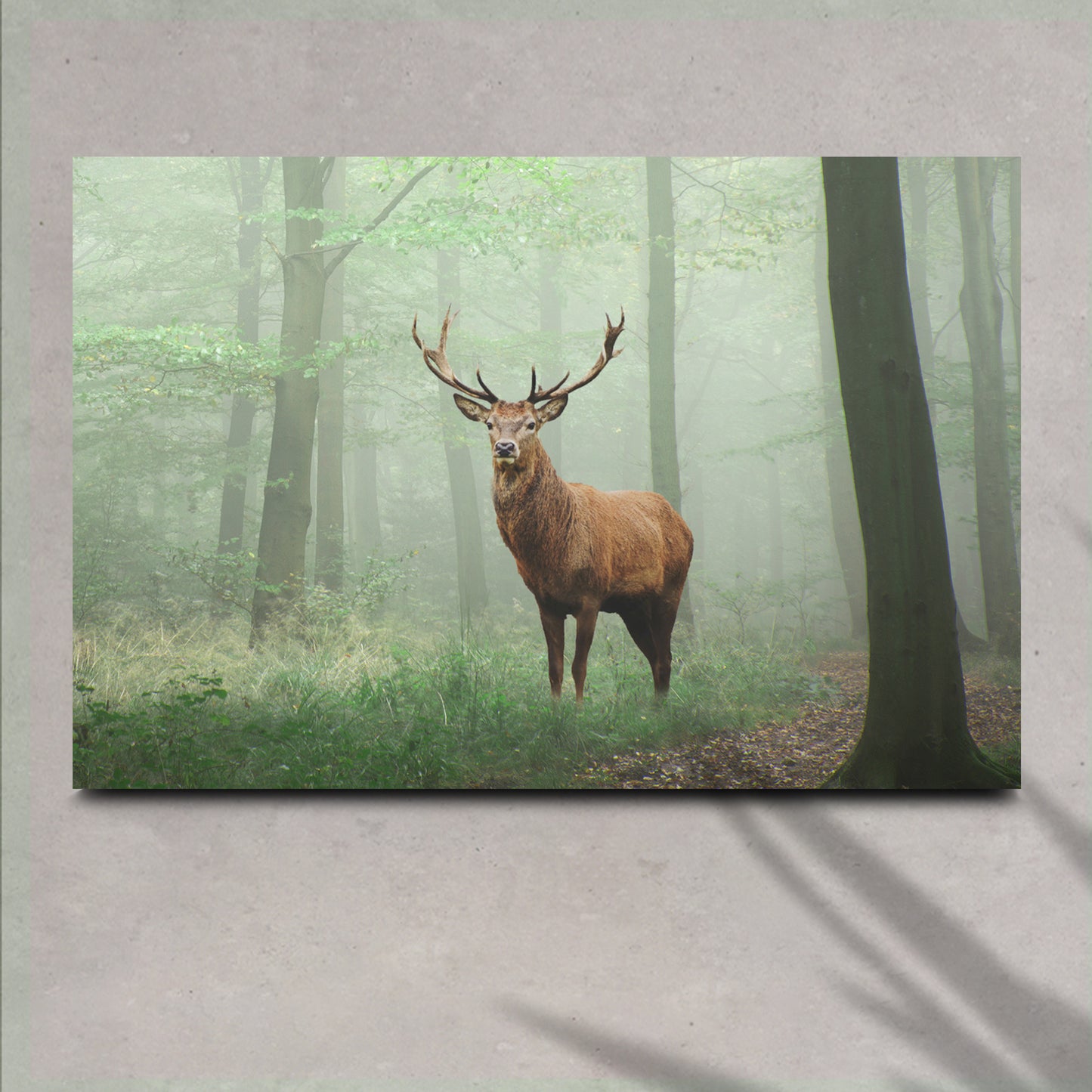 Deer In Foggy Forest Canvas Wall Art II - Image by Tailored Canvases