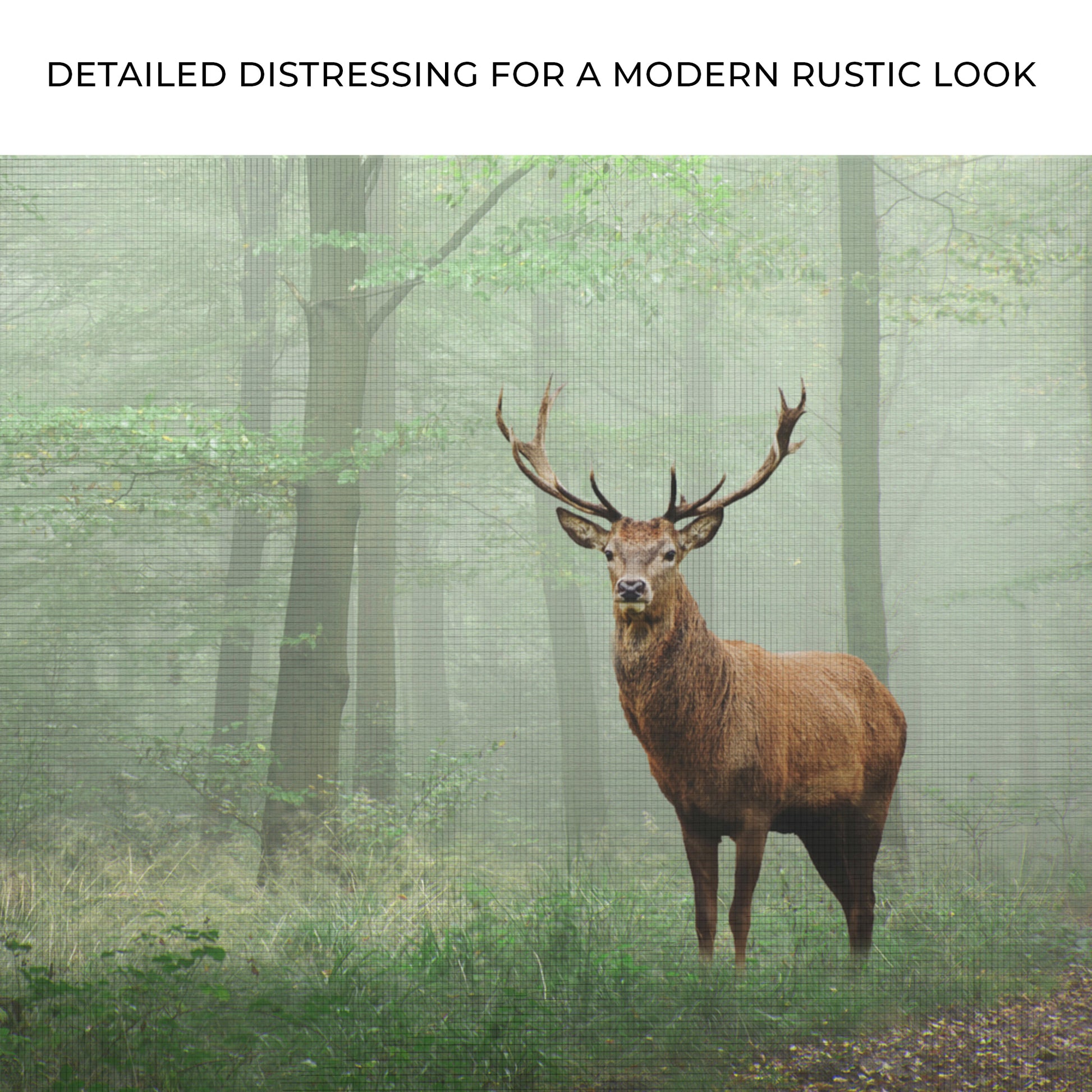 Deer In Foggy Forest Canvas Wall Art II Zoom - Image by Tailored Canvases