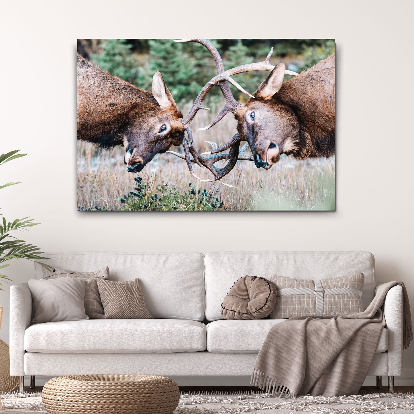 Deer Bucks Sparring Canvas Wall Art Style 2 - Image by Tailored Canvases