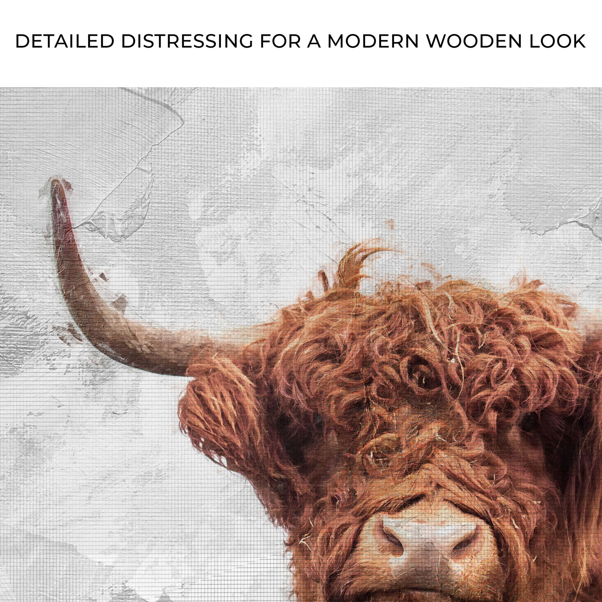Rustic Highland Cow Canvas Wall Art Zoom - Image by Tailored Canvases