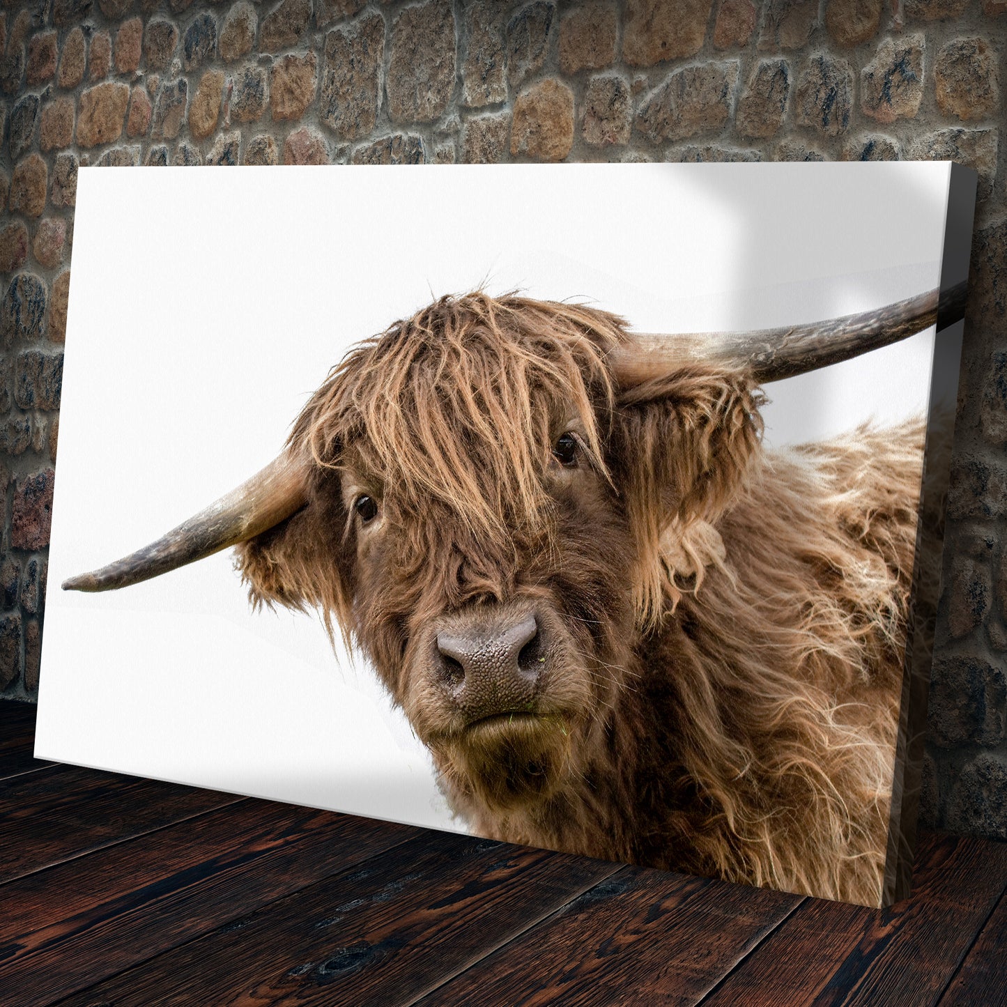 Curious Highland Cow Canvas Wall Art Style 1 - Image by Tailored Canvases