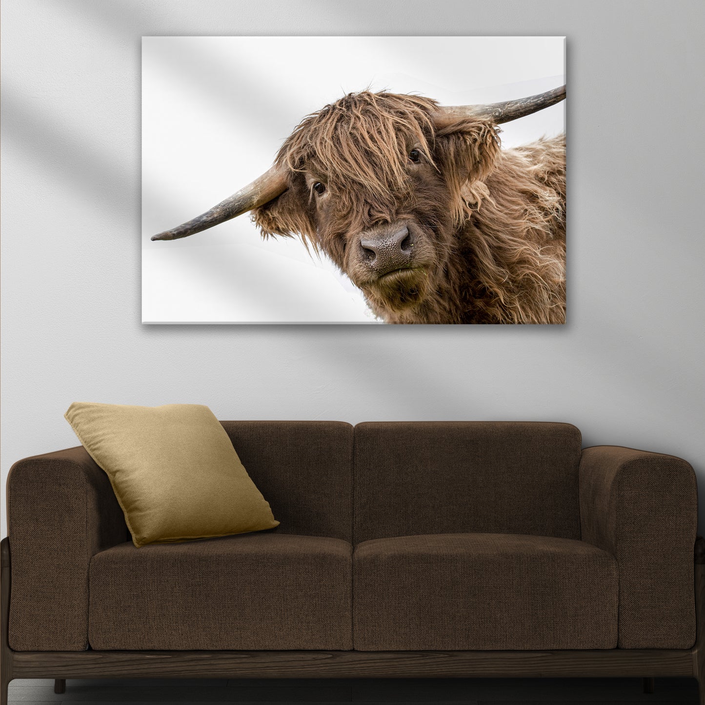 Curious Highland Cow Canvas Wall Art Style 2 - Image by Tailored Canvases