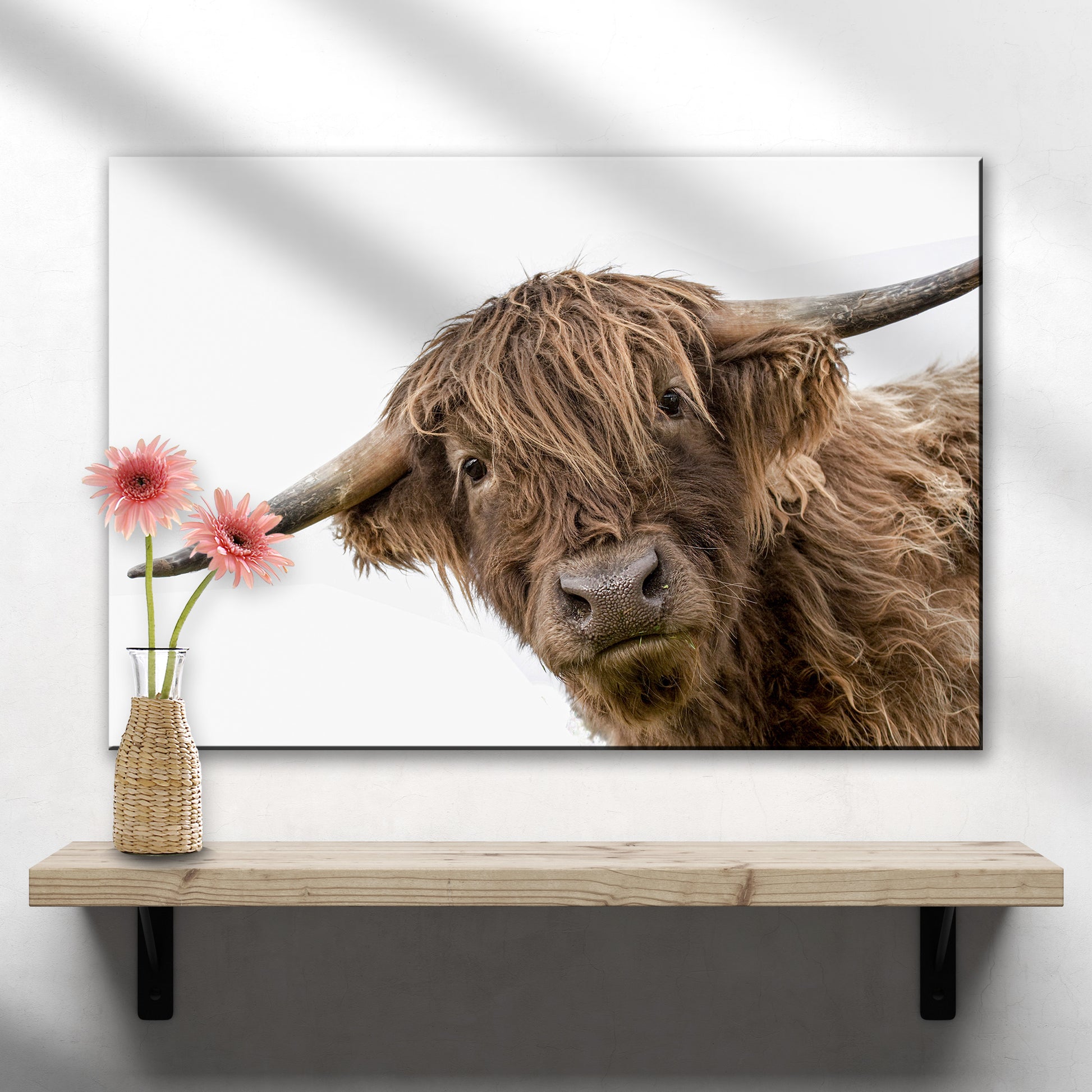 Curious Highland Cow Canvas Wall Art - Image by Tailored Canvases