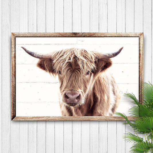 Vintage Highland Cow Canvas Wall Art - Image by Tailored Canvases