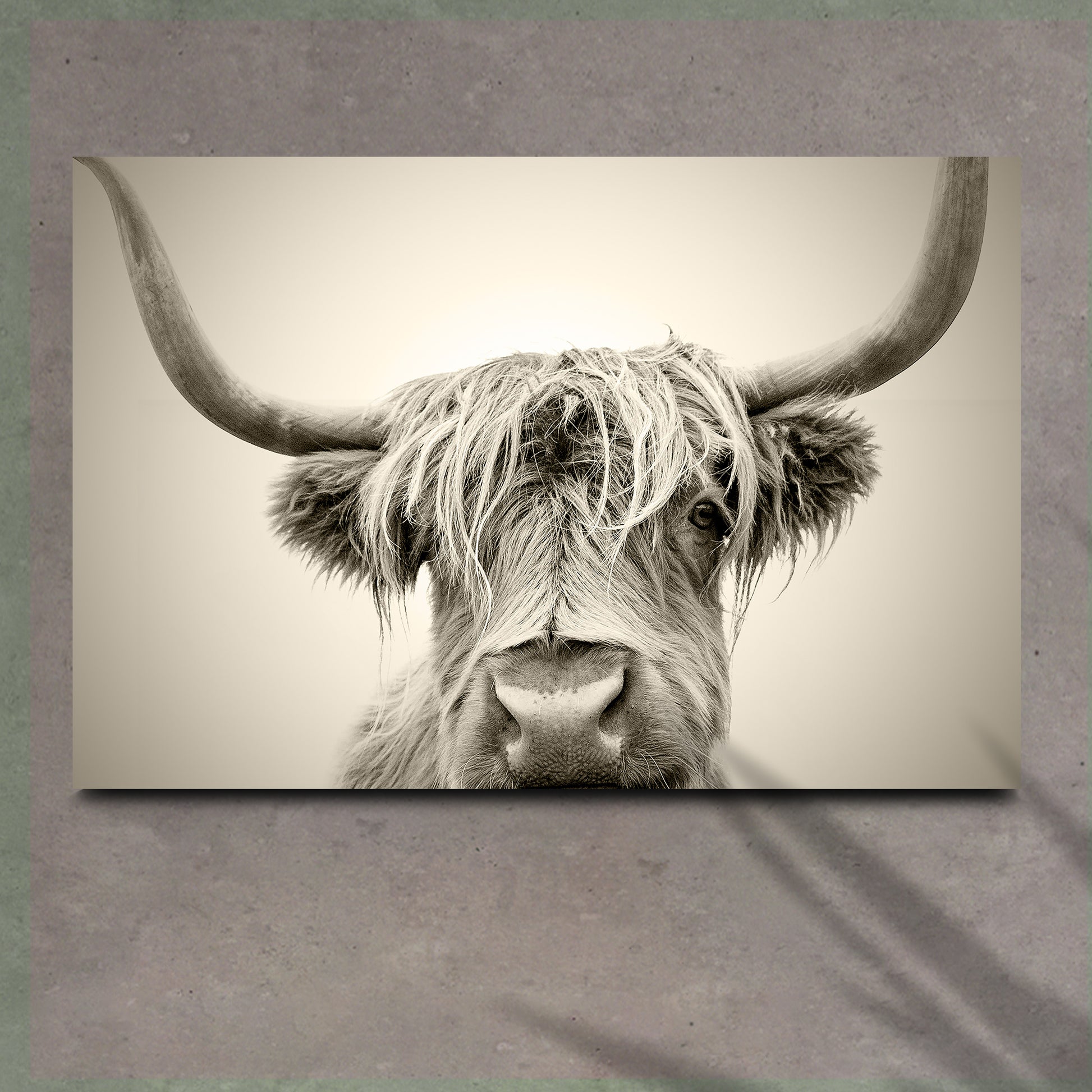 Highland Cow Sepia Head Portrait Canvas Wall Art - Image by Tailored Canvases