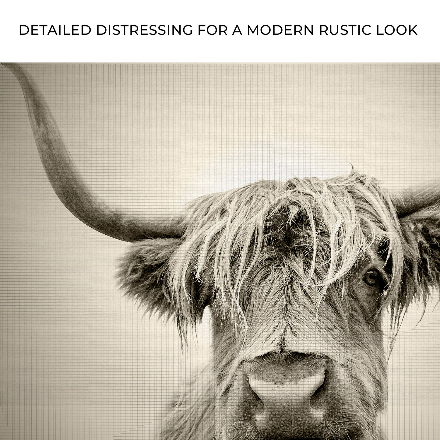 Highland Cow Sepia Head Portrait Canvas Wall Art Zoom - Image by Tailored Canvases