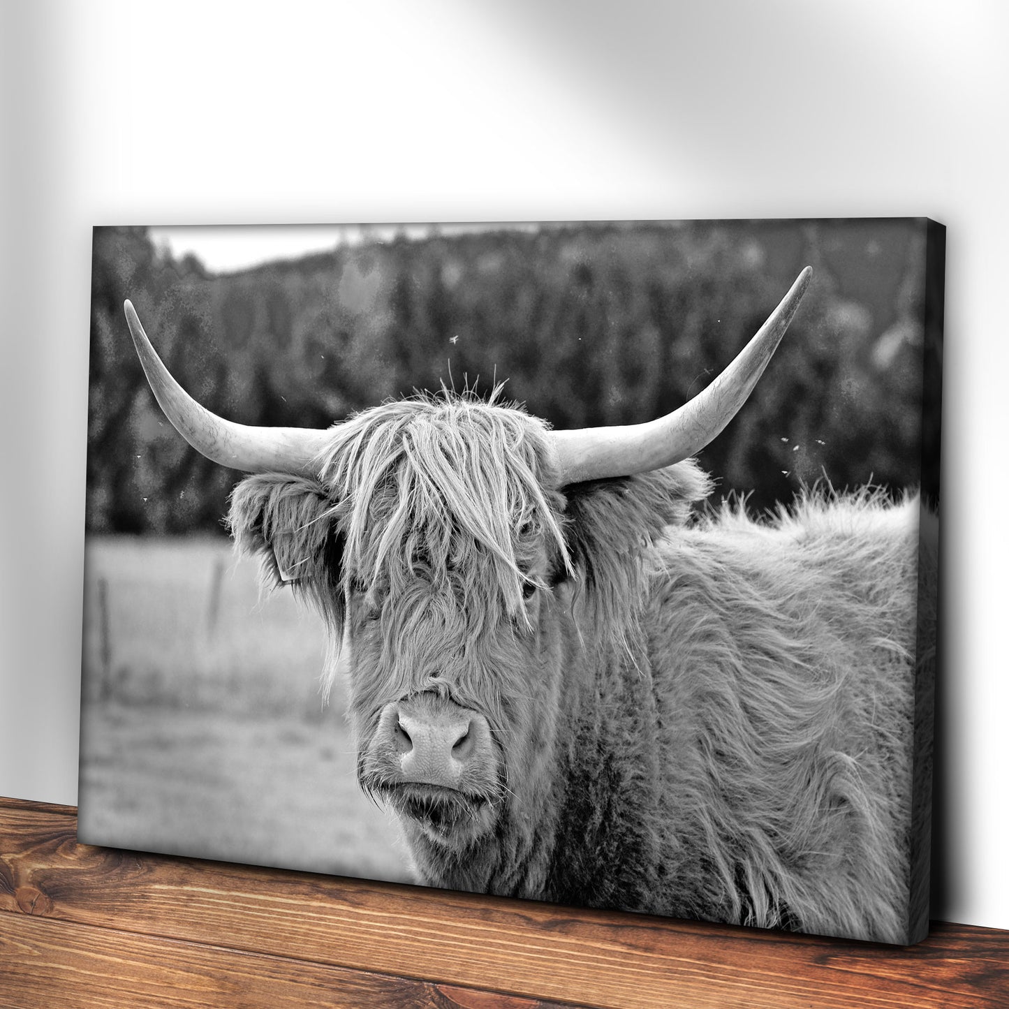 Black And White Highland Cow Canvas Wall Art II Style 1 - Image by Tailored Canvases