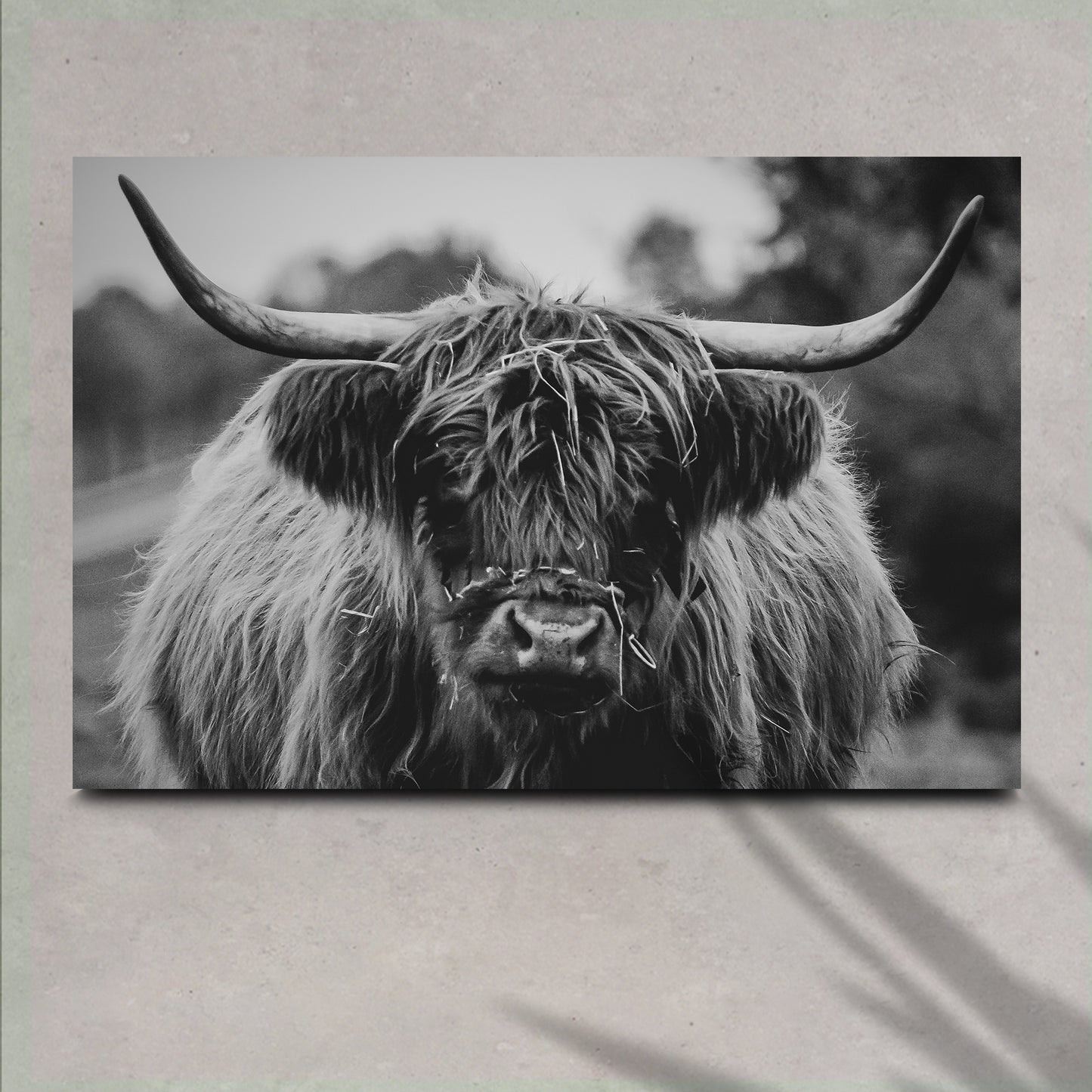 Highland Cow Rustic Gray Canvas Wall Art - Image by Tailored Canvases