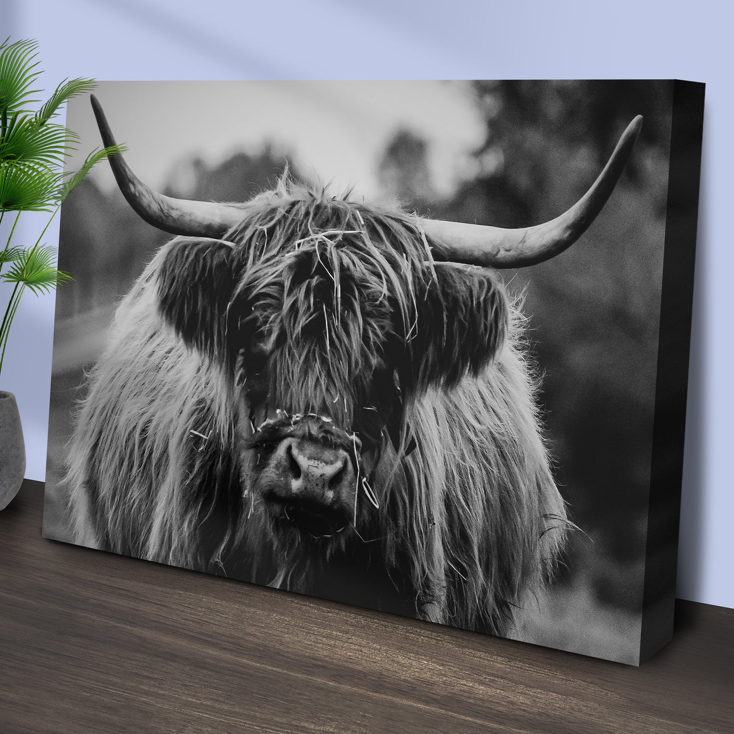 Highland Cow Rustic Gray Canvas Wall Art Style 1 - Image by Tailored Canvases