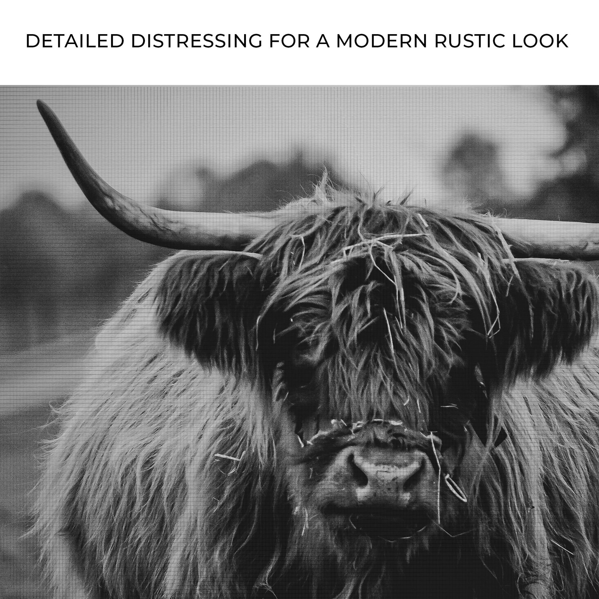 Highland Cow Rustic Gray Canvas Wall Art Zoom - Image by Tailored Canvases