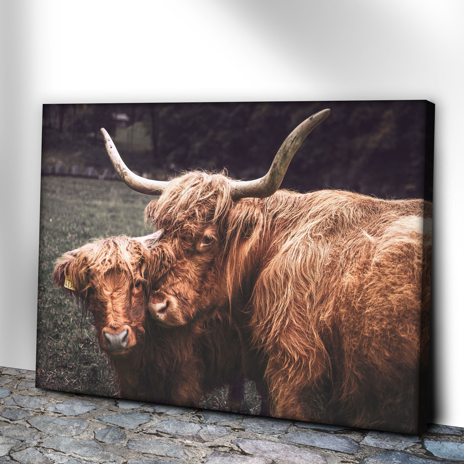 Mother And Baby Highland Cow Canvas Wall Art Style 1 - Image by Tailored Canvases