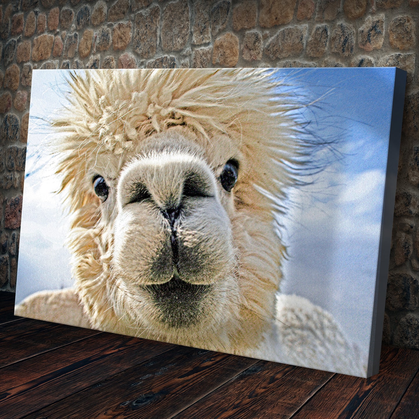 Funny Llama Selfie Canvas Wall Art Style 1 - Image by Tailored Canvases
