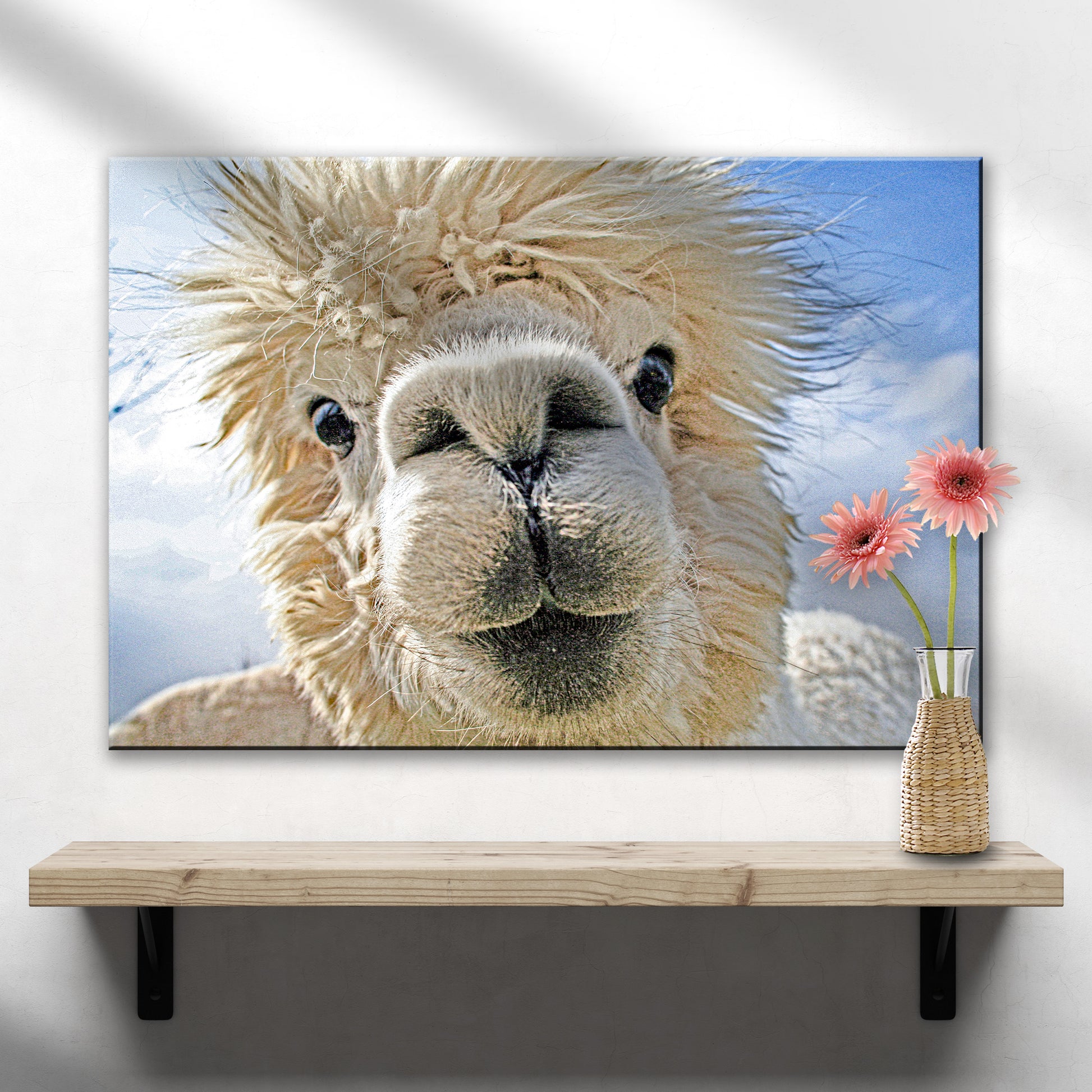 Funny Llama Selfie Canvas Wall Art - Image by Tailored Canvases