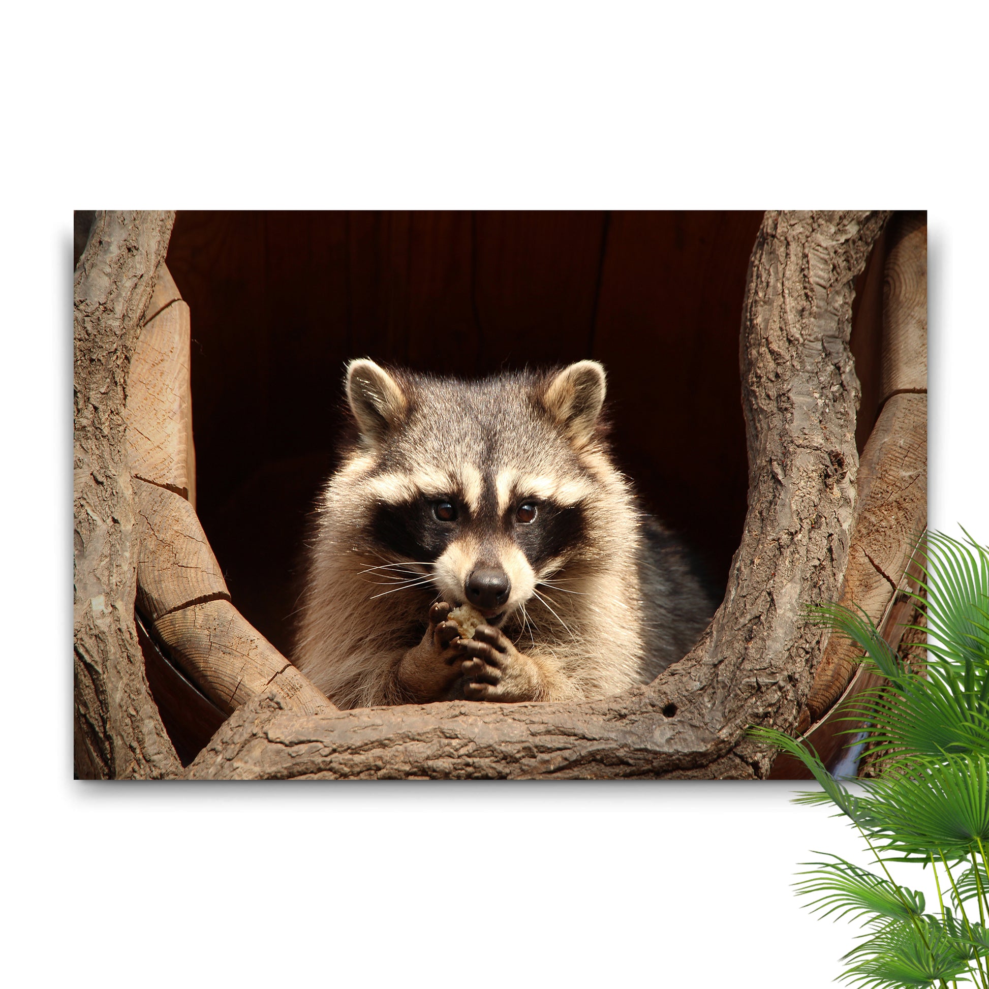 Animals Forest Raccoon Tree Canvas Wall Art II Style 1 - Image by Tailored Canvases