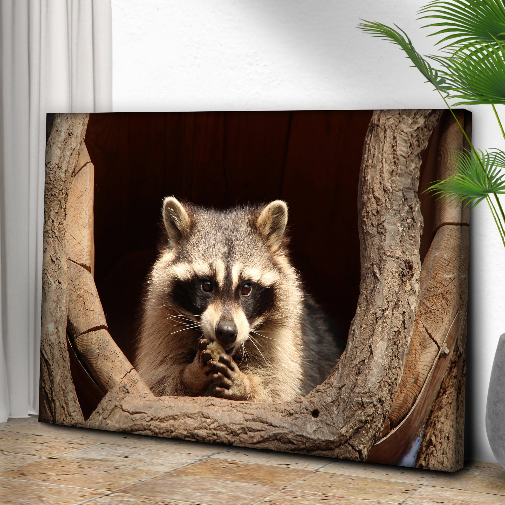 Animals Forest Raccoon Tree Canvas Wall Art II Style 2 - Image by Tailored Canvases