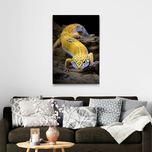 Reptile Lizard Leopard Gecko Canvas Wall Art - Image by Tailored Canvases