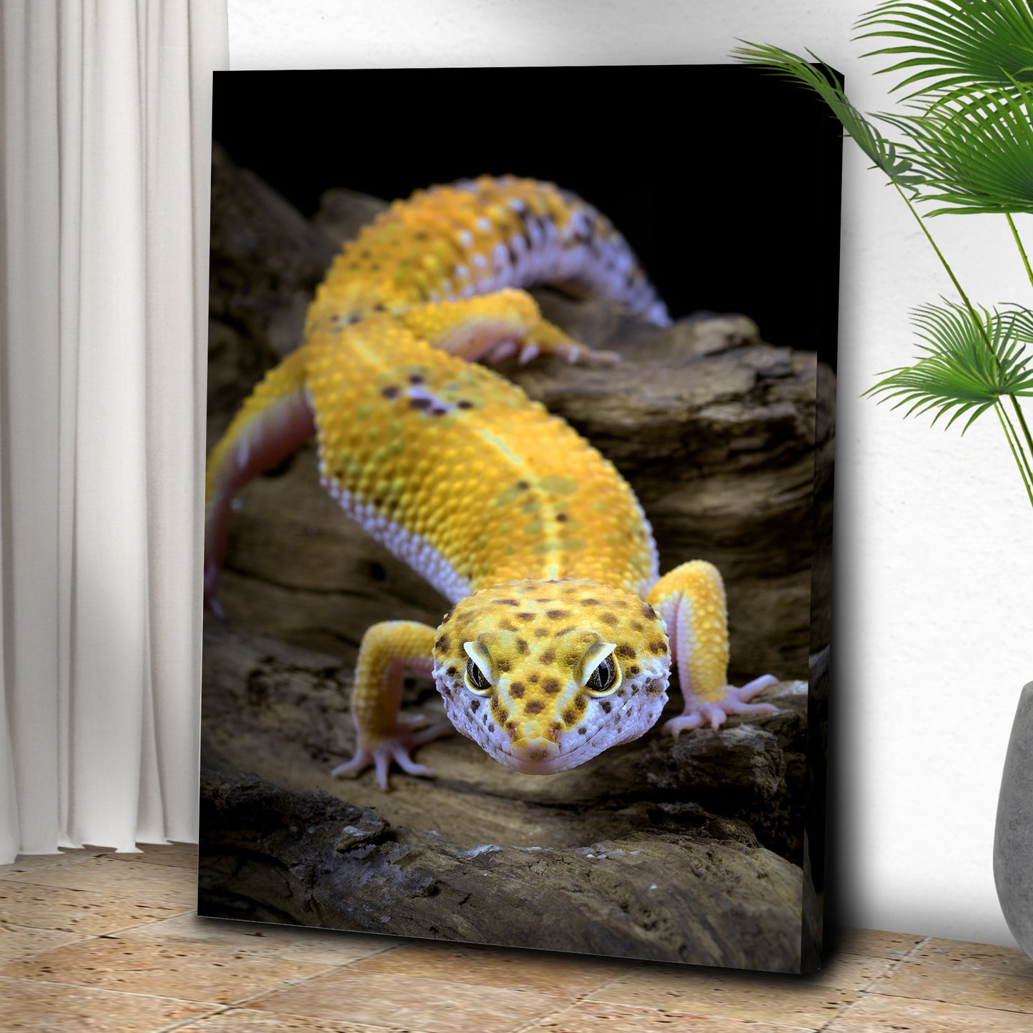 Reptile Lizard Leopard Gecko Canvas Wall Art Style 2 - Image by Tailored Canvases