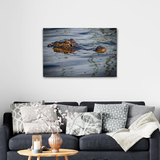 Reptile Alligator Peeking Canvas Wall Art - Image by Tailored Canvases