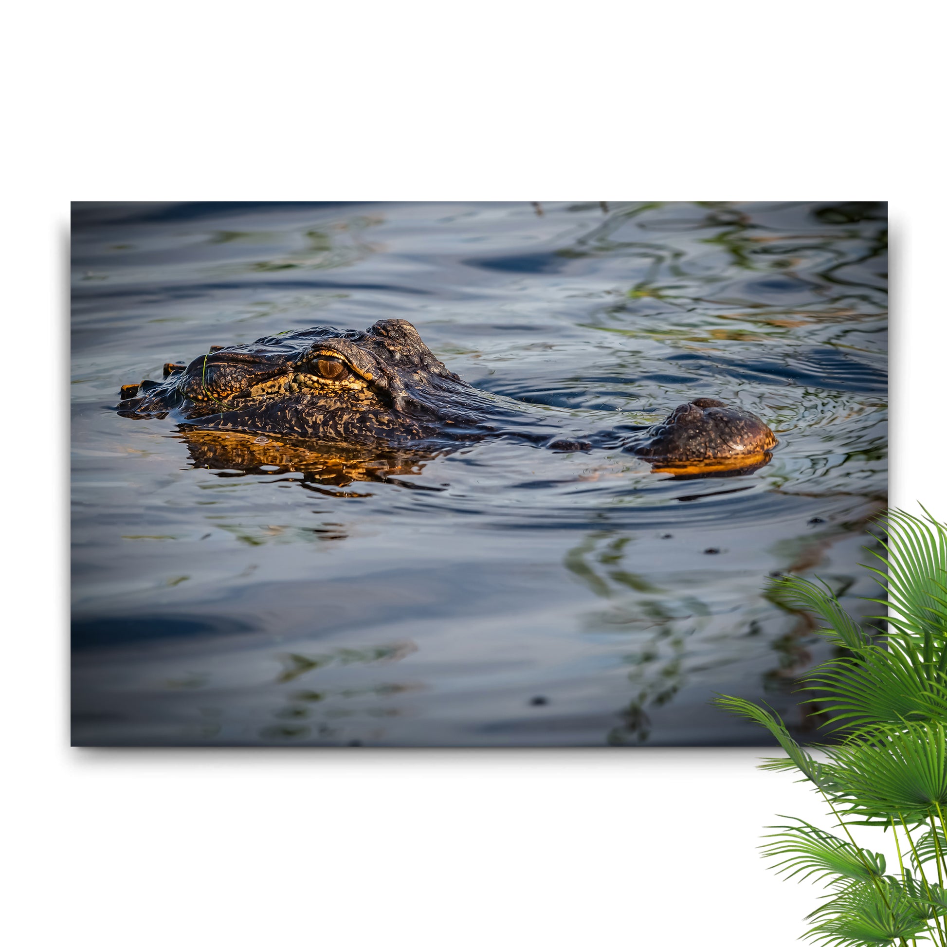 Reptile Alligator Peeking Canvas Wall Art Style 1 - Image by Tailored Canvases