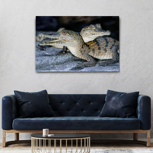 Reptile Alligator Pair Canvas Wall Art - Image by Tailored Canvases