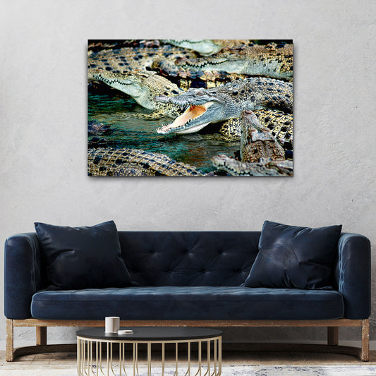Reptile Alligator In The Sun Canvas Wall Art - Image by Tailored Canvases