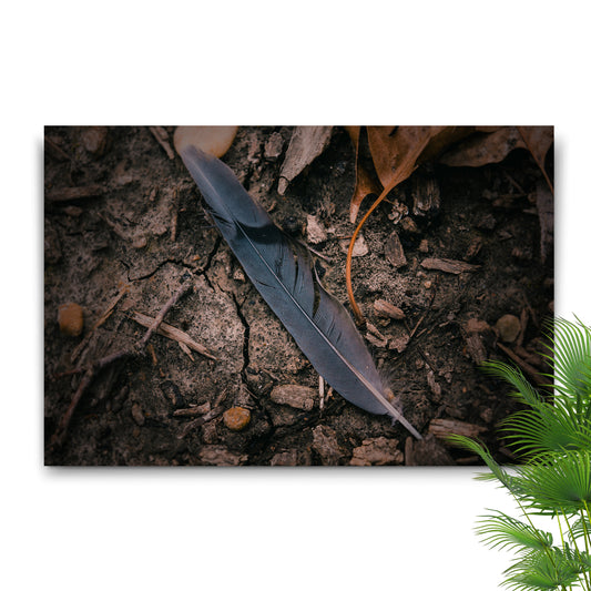 Decor Elements Feather Dark Canvas Wall Art - by Tailored Canvases