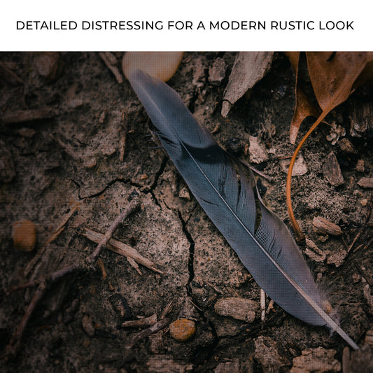 Decor Elements Feather Dark Canvas Wall Art Zoom - by Tailored Canvases