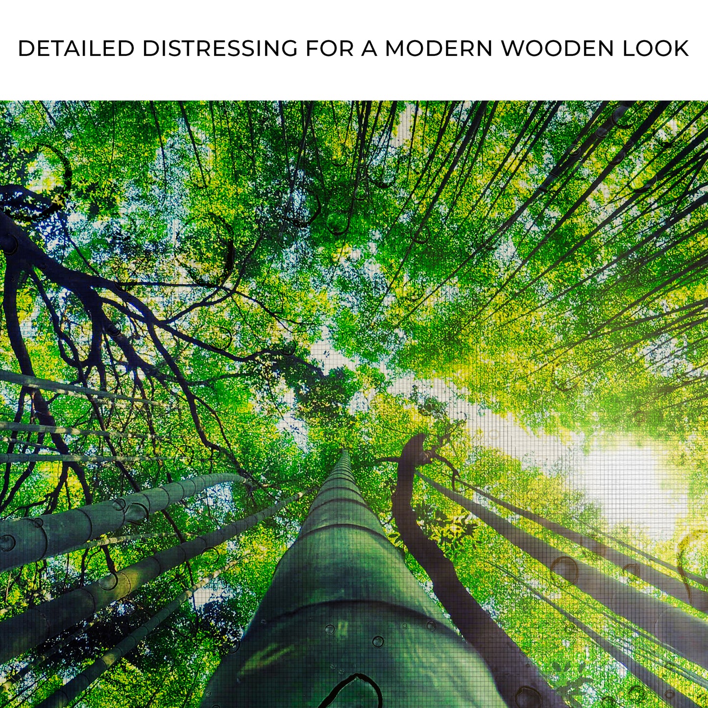 Light Through Bamboo Forest Canvas Wall Art Zoom - Image by Tailored Canvases