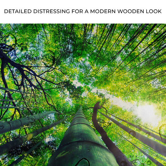 Light Through Bamboo Forest Canvas Wall Art Zoom - Image by Tailored Canvases