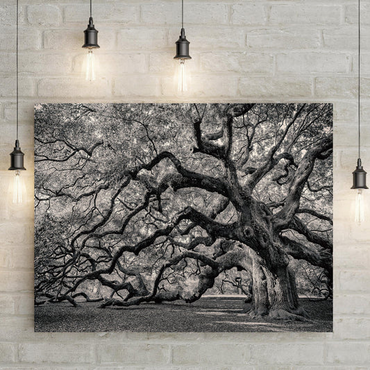 Monochrome Angel Oak Tree Canvas Wall Art