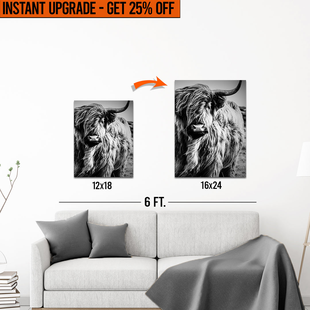 Upgrade Your 18x12 Inches 'Black And White Highland Cow Portrait' Canvas To 16x24 Inches